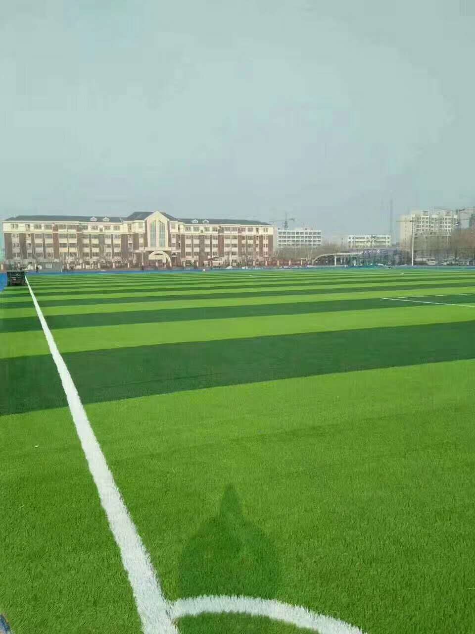 广元市预制型跑道仿真草坪 - 厂家